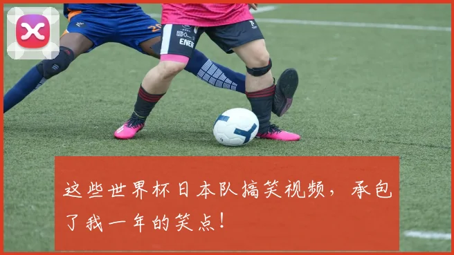 这些世界杯日本队搞笑视频，承包了我一年的笑点！