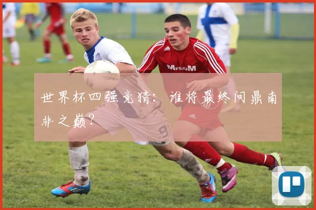 世界杯四强竞猜:谁将最终问鼎南非之巅?