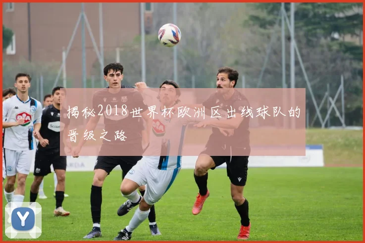 揭秘2018世界杯欧洲区出线球队的晋级之路