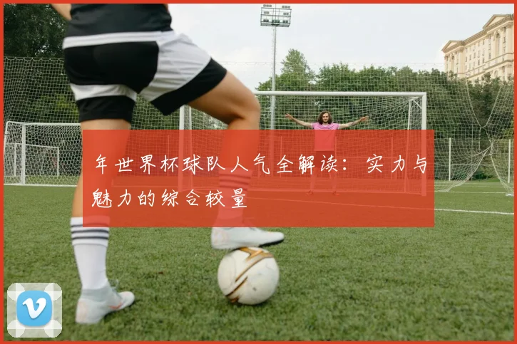 年世界杯球队人气全解读：实力与魅力的综合较量