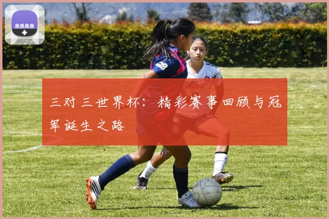 三对三世界杯:精彩赛事回顾与冠军诞生之路