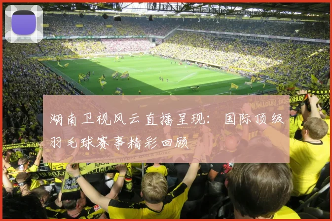 湖南卫视风云直播呈现：国际顶级羽毛球赛事精彩回顾