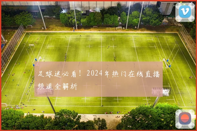 足球迷必看！2024年热门在线直播频道全解析