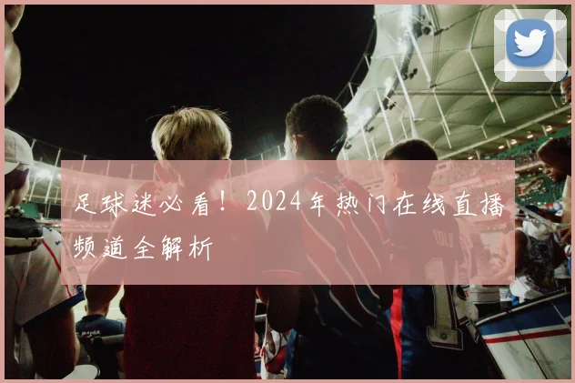 足球迷必看！2024年热门在线直播频道全解析