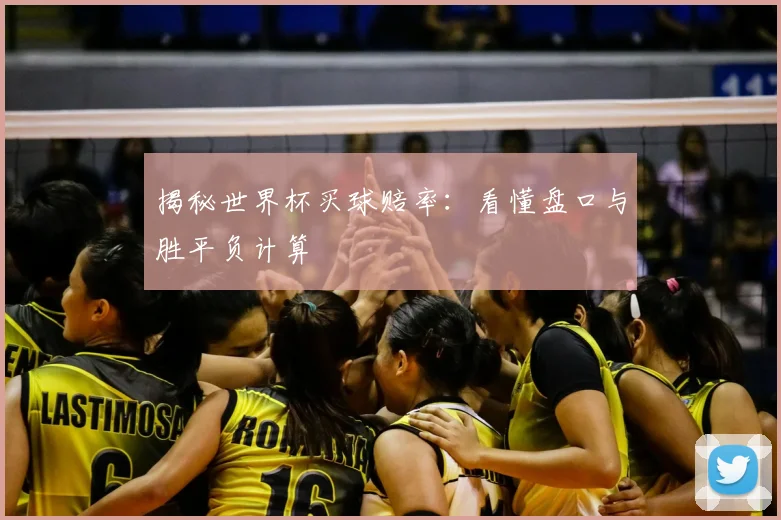 揭秘世界杯买球赔率：看懂盘口与胜平负计算