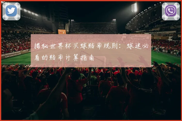 揭秘世界杯买球赔率规则：球迷必看的赔率计算指南